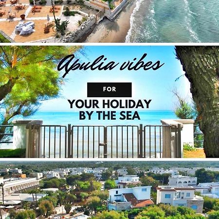 Aurelia Sea View Bed & Breakfast ตอร์เรกันเน ภายนอก รูปภาพ