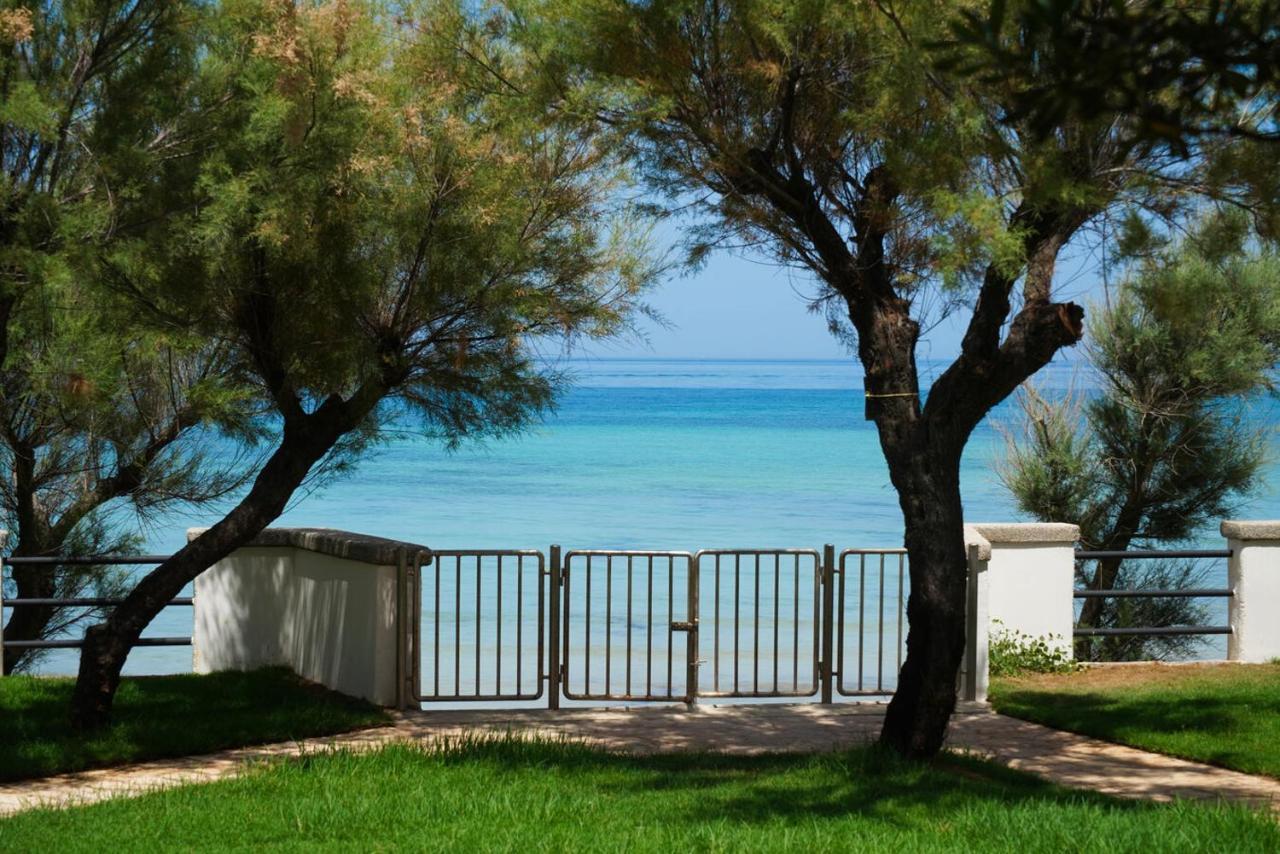 Aurelia Sea View Bed & Breakfast ตอร์เรกันเน ภายนอก รูปภาพ