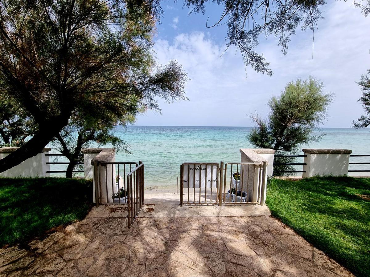 Aurelia Sea View Bed & Breakfast ตอร์เรกันเน ภายนอก รูปภาพ